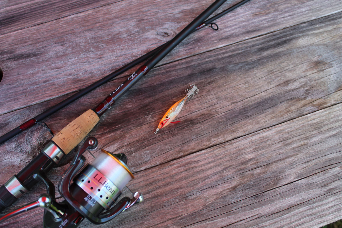 Gear used for fishing